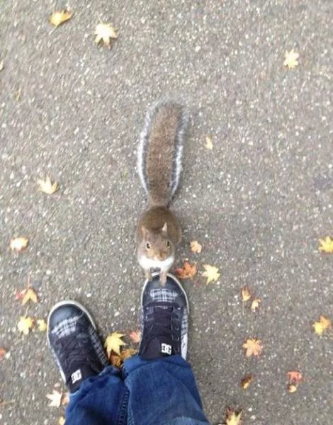 Picdump 161 - #22 
