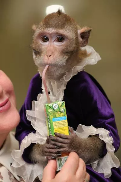Picdump 161 - #4 