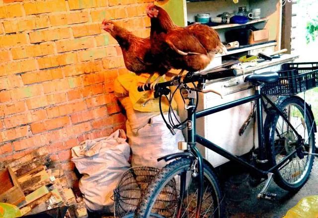 Picdump 161 - #58 