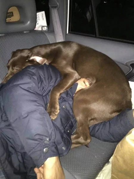 Picdump 162 - #38 