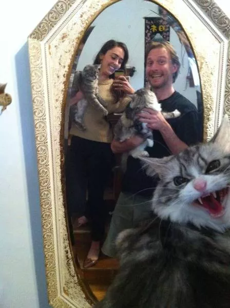 Picdump 162 - #40 