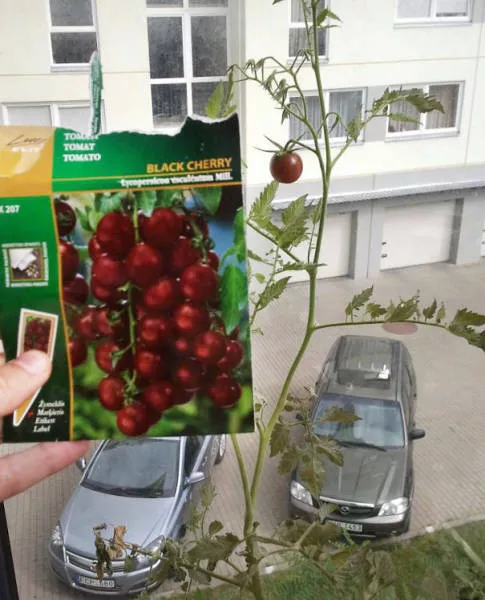 Exemples droles demballages decevants et rates - #1 