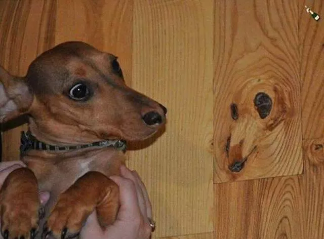 Picdump 164 - #17 
