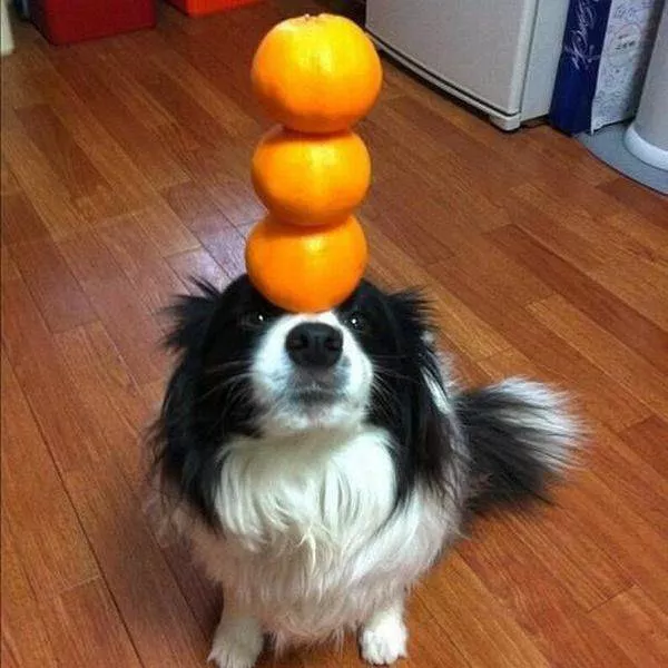 Picdump 164 - #22 