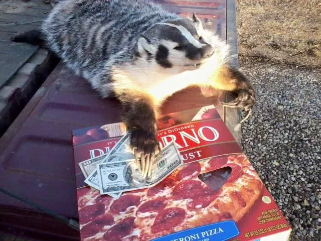 Picdump 164 - #74 