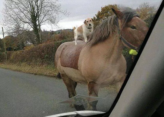 Picdump 164 - #8 