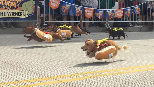 These pictures are better than 1000 words - #13 