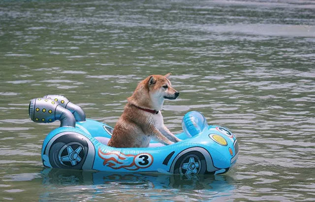 These pictures are better than 1000 words - #21 