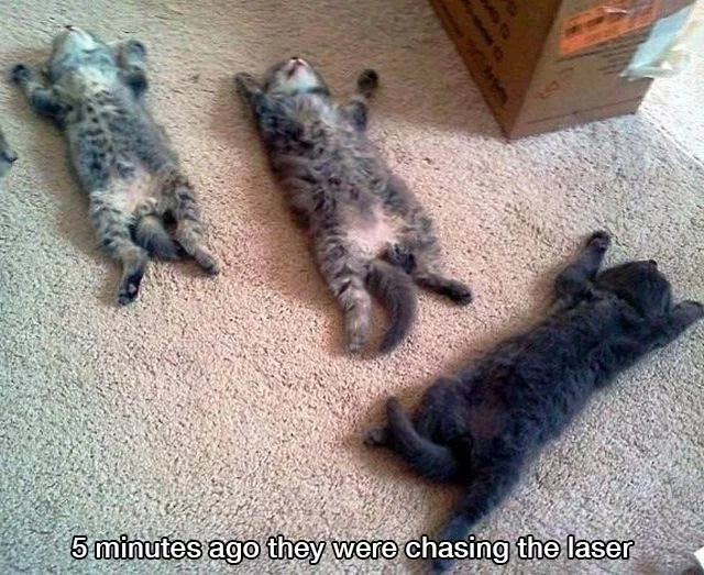 These pictures are better than 1000 words - #24 