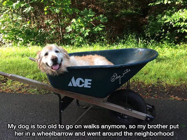 These pictures are better than 1000 words - #26 