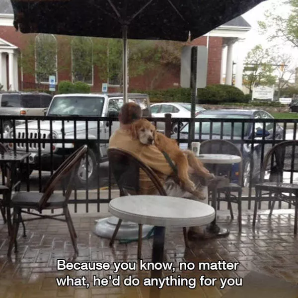 These pictures are better than 1000 words - #3 