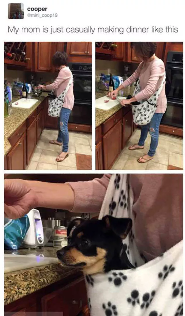 These pictures are better than 1000 words - #32 