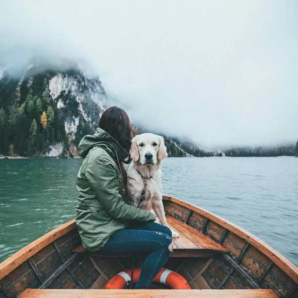 These pictures are better than 1000 words - #36 