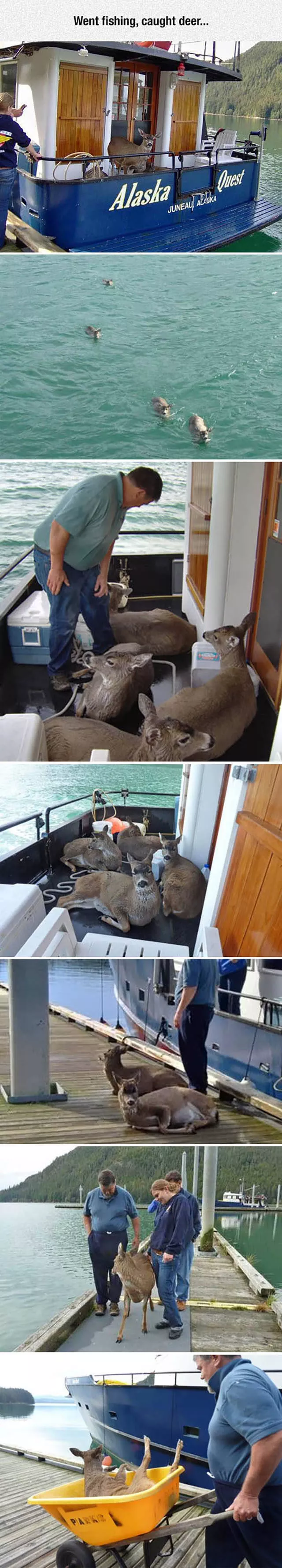 These pictures are better than 1000 words - #38 