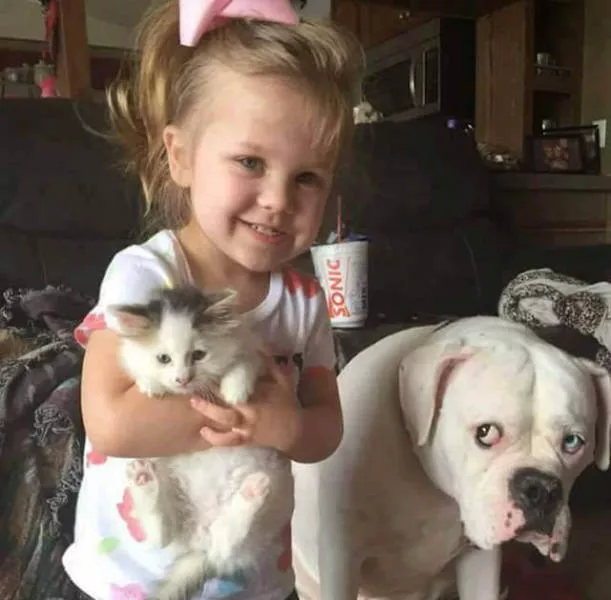 These pictures are better than 1000 words - #6 