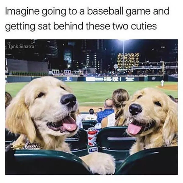 These pictures are better than 1000 words - #8 
