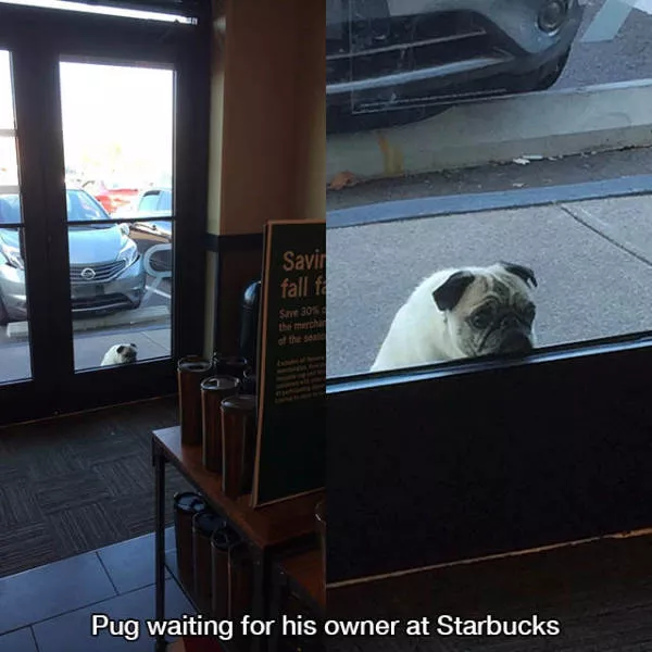 These pictures are better than 1000 words - #9 