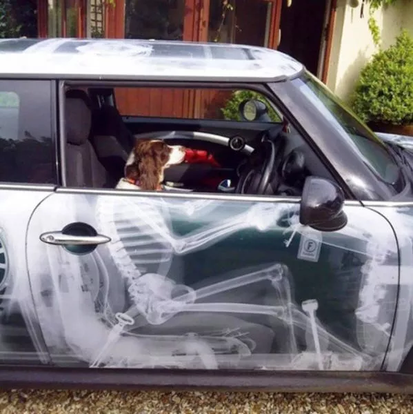 The most bizard cars in the world - #24 