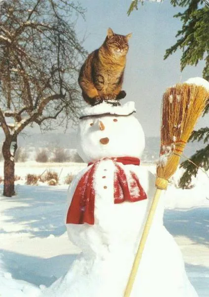 Picdump 165 - #14 