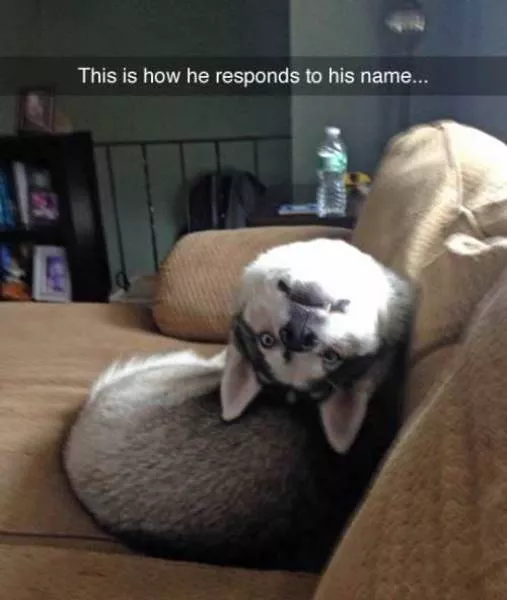 Picdump 165 - #31 