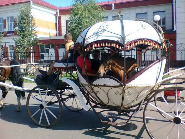 Picdump 165 - #36 