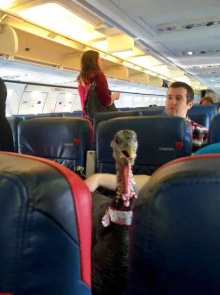 Picdump 165 - #4 