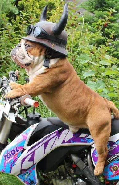 Picdump 165 - #74 