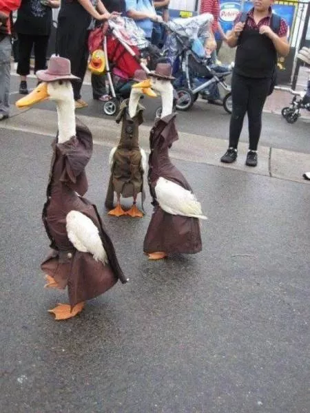 Picdump 165 - #83 