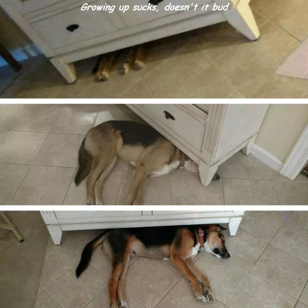 Picdump 165 - #87 