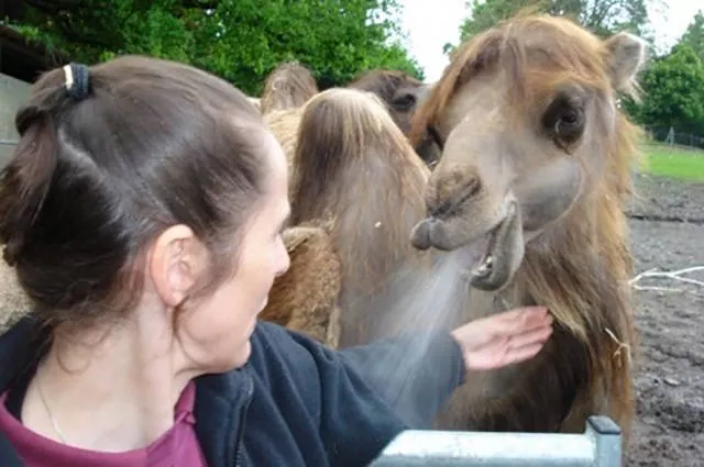 Picdump 166 - #16 