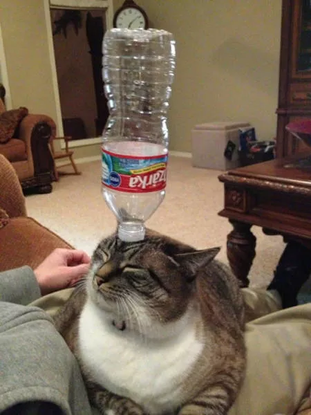 Picdump 166 - #21 