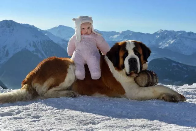 Picdump 166 - #28 