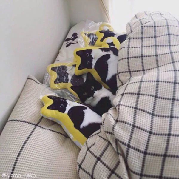 Picdump 166 - #7 