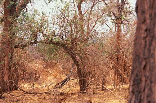 There is some stuff hidden in these great photos - #47 