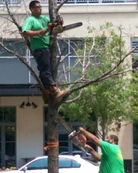 Picdump 168 - #10 