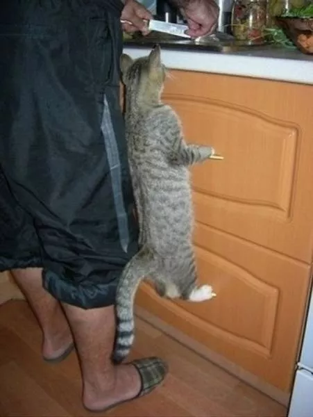 Picdump 168 - #14 