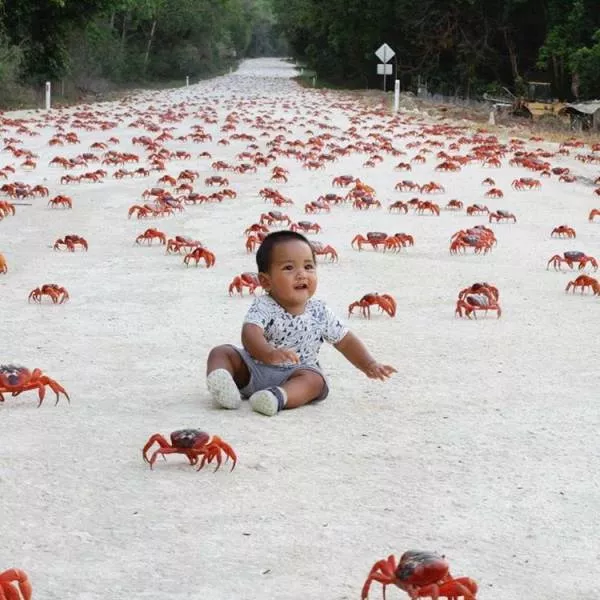 Picdump 168 - #23 