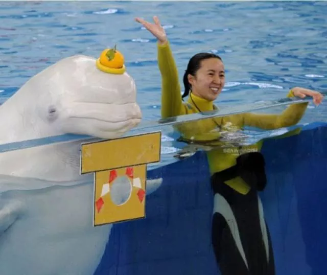 Picdump 168 - #25 