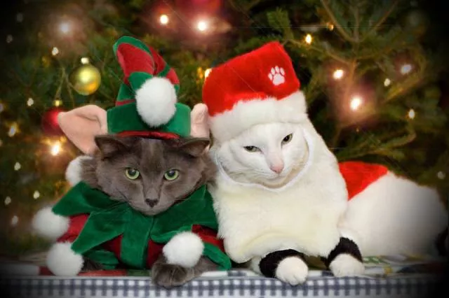 Picdump 168 - #46 