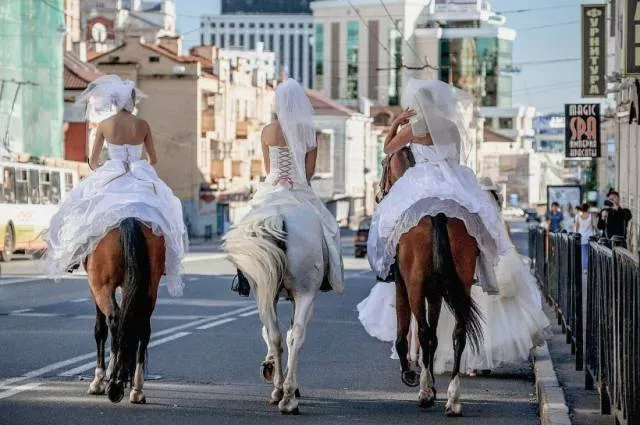Picdump 168 - #53 