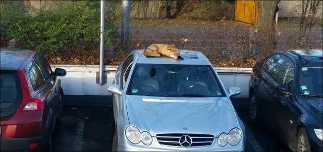 Picdump 168 - #62 