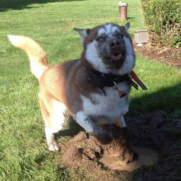 Picdump 168 - #73 