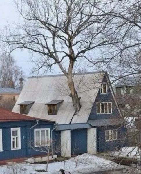 The best crazy russians compilation ever seen - #31 