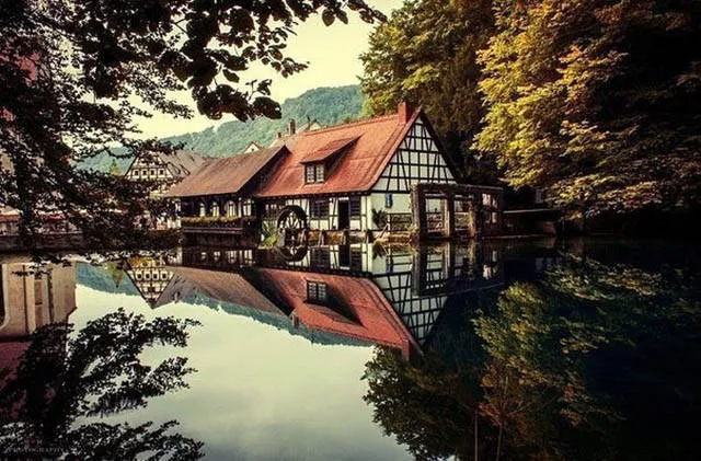 Impressive photos where a look is better than 1000 words - #15 