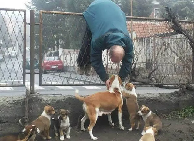 Impressive photos where a look is better than 1000 words - #17 
