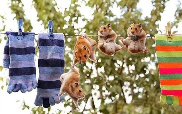 Impressive photos where a look is better than 1000 words - #20 