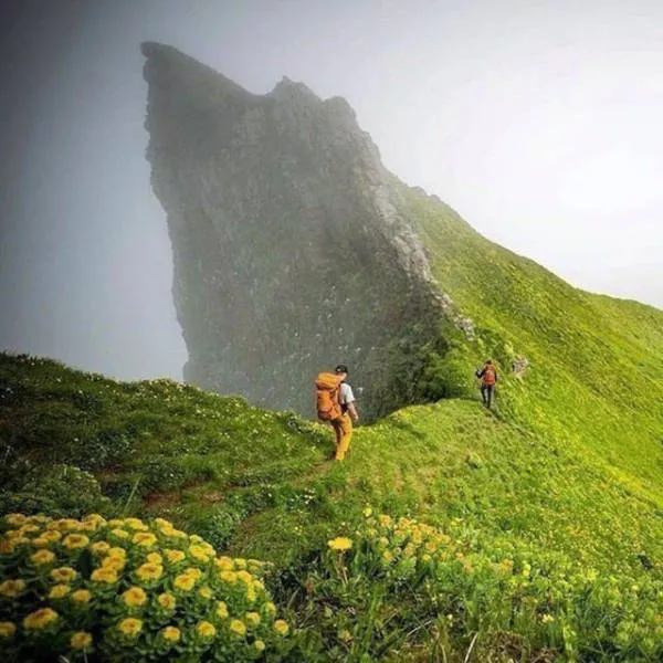 Impressive photos where a look is better than 1000 words - #8 