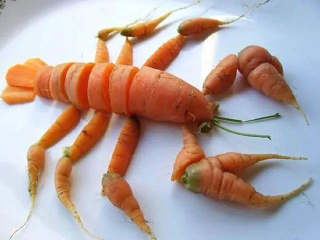 Picdump 169 - #11 