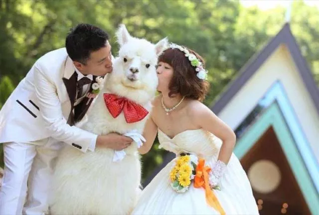 Picdump 169 - #24 