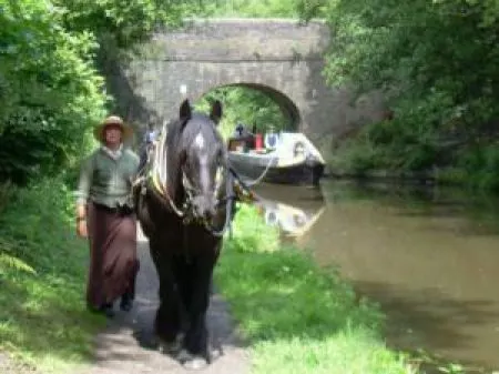 Completely unusual types of transport - #25 